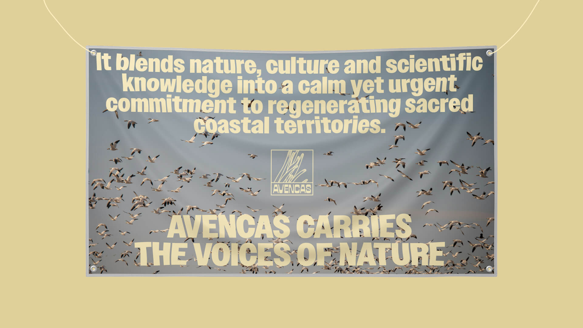 avencas-logo-mockup